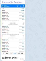 BTMM SWING TRADER (2)