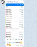 BTMM SWING TRADER (4)