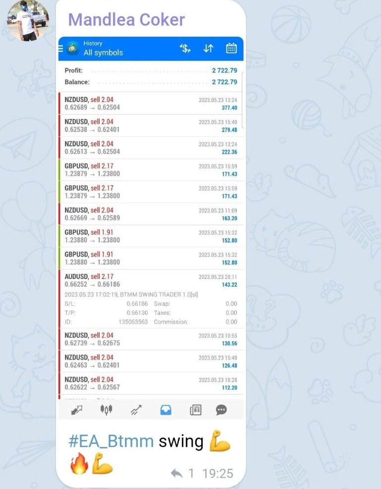 BTMM SWING TRADER (4)