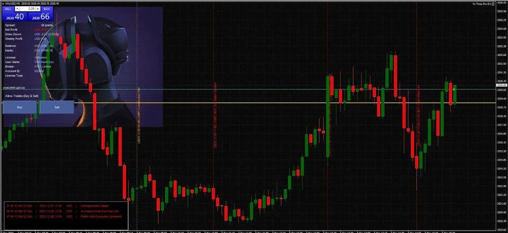 YOFOREXPRO EA (1)