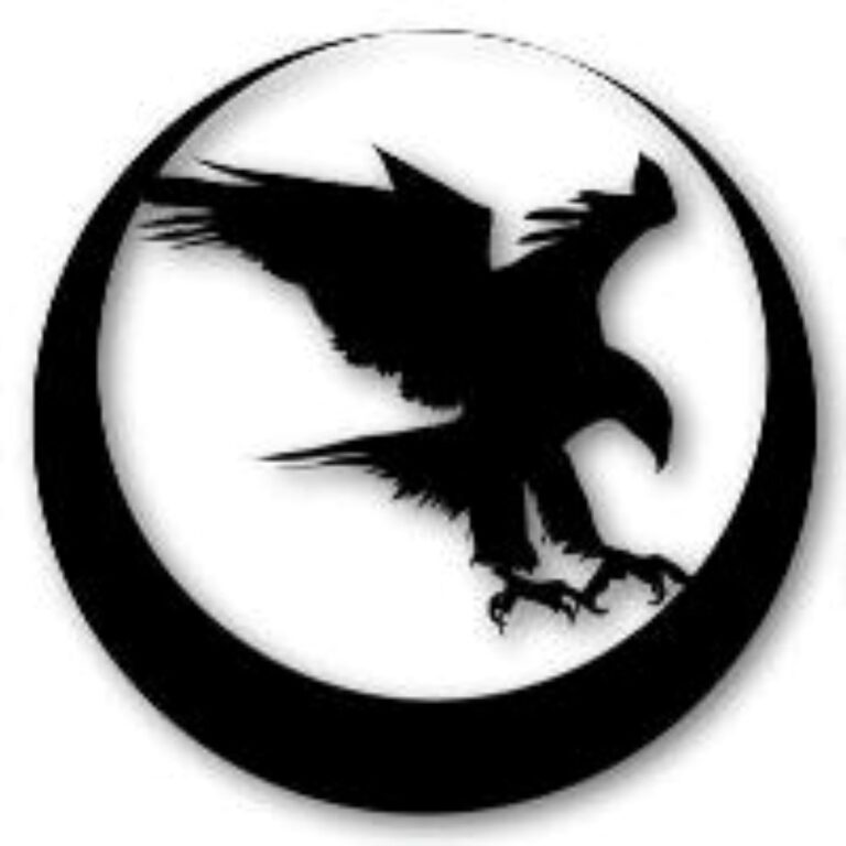 NIGHT HAWK EA (1)