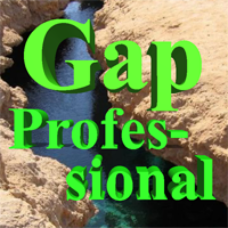 GAP PROFESSIONAL EA Review