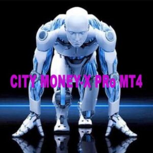 CITY MONEY-X PRO