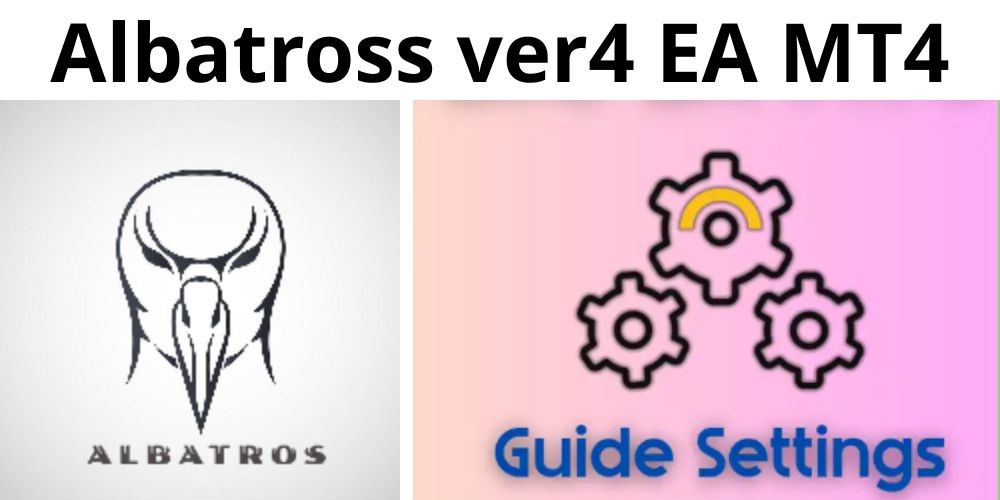 Albatross ver4 EA - 1