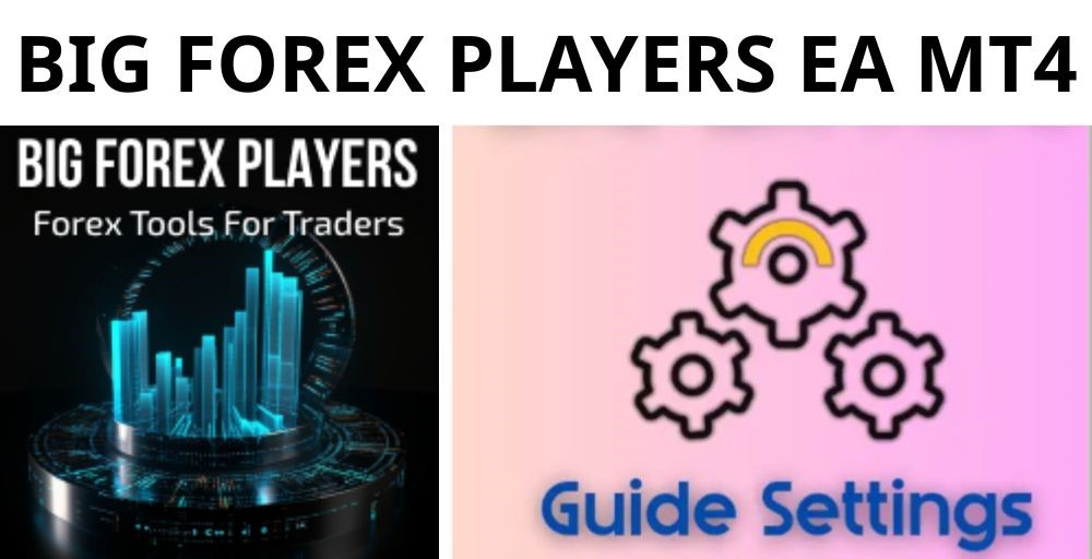 BIG FOREX PLAYERS EA - 1