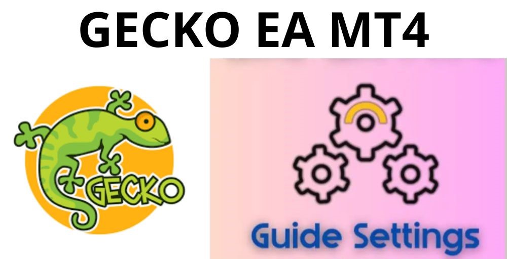 GECKO EA - 1