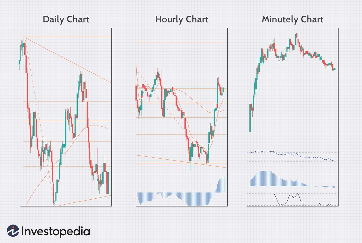 Successful forex trader