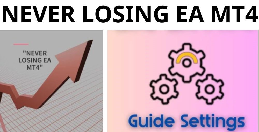 NEVER LOSING EA MT4 - 1