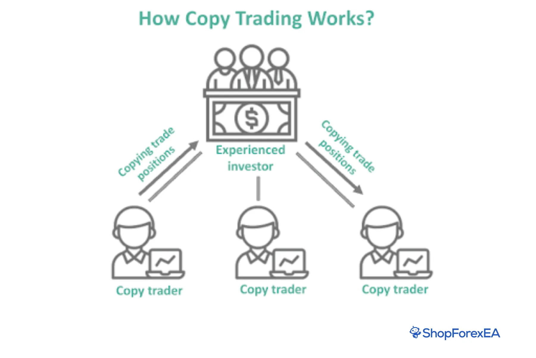Copy Trading in Forex What It Is, How It Works, Platforms, Risks, and Getting Started (1)