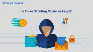 Forex Scams to Avoid Common Types, Warning Signs, and Protection Strategies (1)