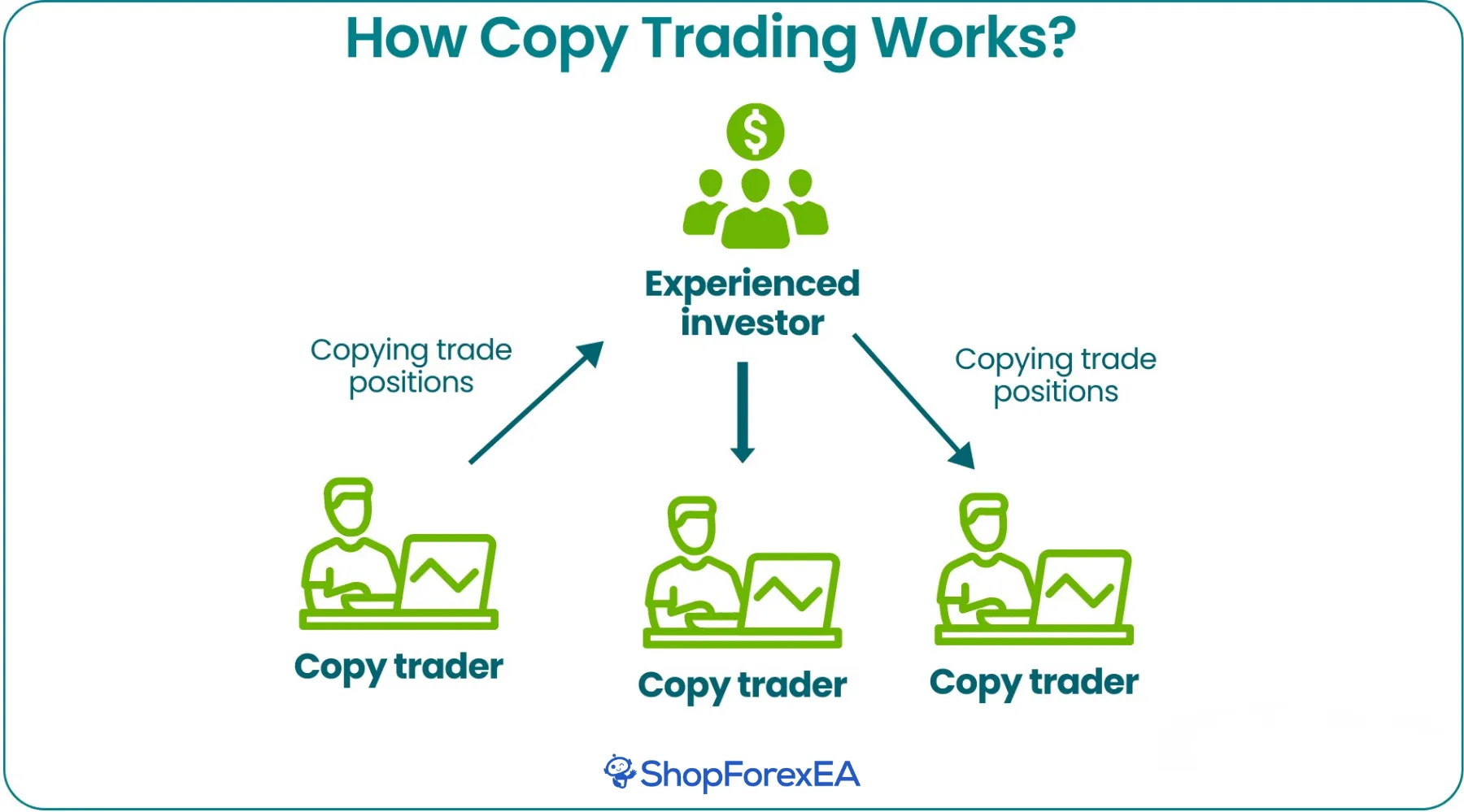 Social Trading in Forex What It Is, How It Works, Platforms, Benefits, Risks, and Getting Started (3)