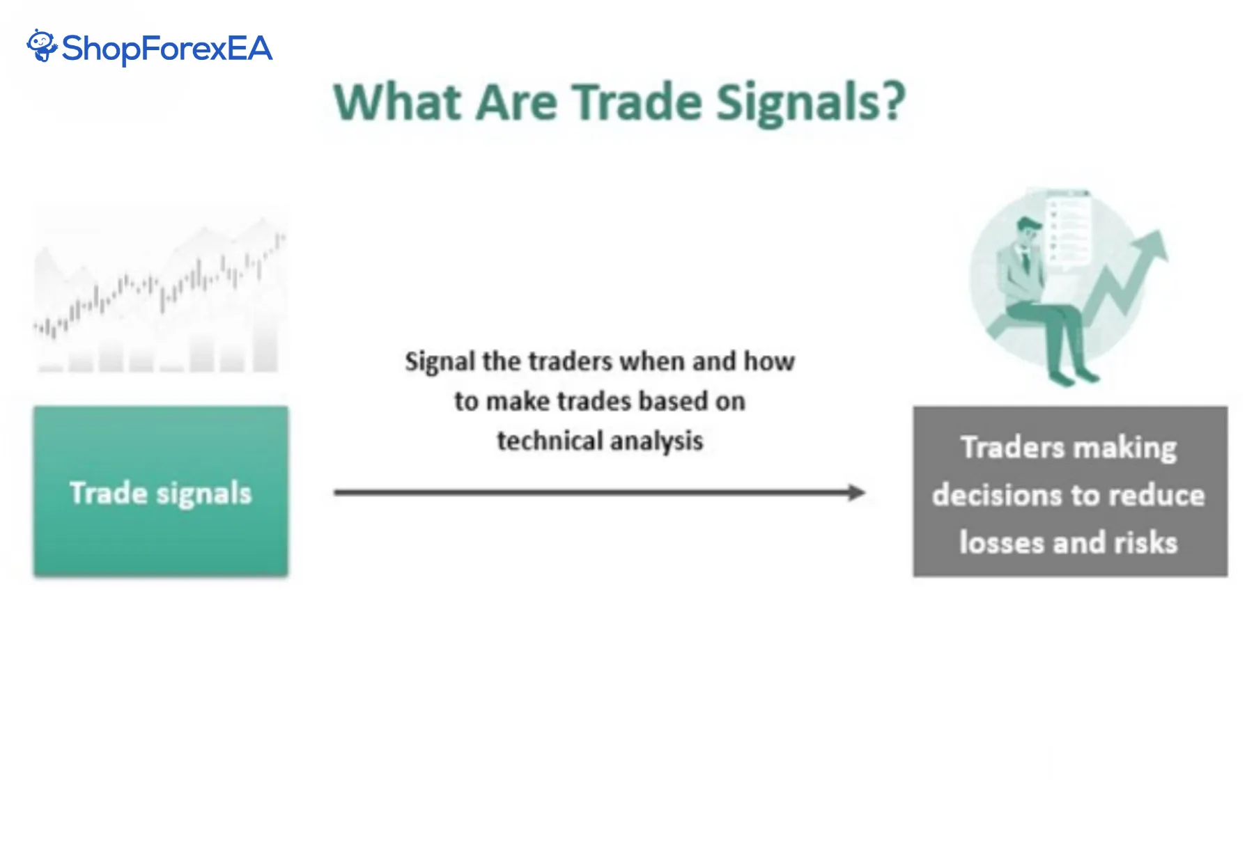 Social Trading in Forex What It Is, How It Works, Platforms, Benefits, Risks, and Getting Started