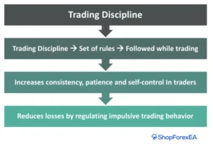 Trading Discipline in Forex Definition, Strategies, and How to Build It for Consistent Profits