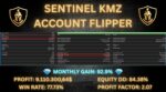 Sentinel KMZ - 1