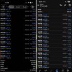 FOREX FUGE EA (1)