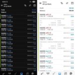 FOREX FUGE EA (2)