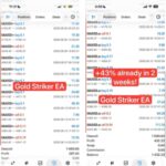 GOLD STRIKER EA (3)