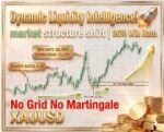 DYNAMIC LIQUIDITY INTELLIGENCE MT5 V2.27 BUILD 6249+ - Image 6