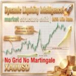 DYNAMIC LIQUIDITY INTELLIGENCE